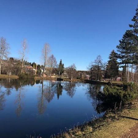 Schoene Ferienwohnung Im Suedschwarzwald Herrischried Dış mekan fotoğraf
