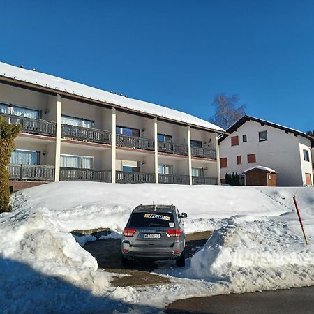 Schoene Ferienwohnung Im Suedschwarzwald Herrischried Dış mekan fotoğraf